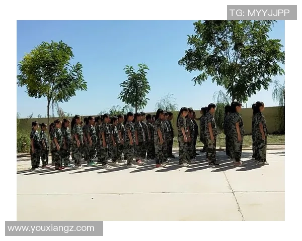 与李军畅谈和平精英职业生涯的成长与挑战