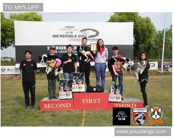 成都飞盘队如何引领节奏革新助力城市运动文化发展